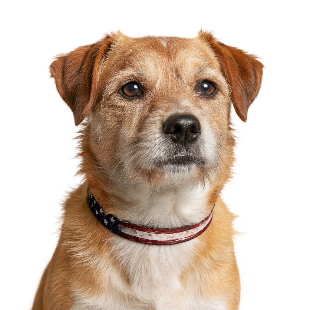 American Flag Clip-on Pet Collar